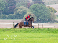 AK021025-44 - Believitanducan